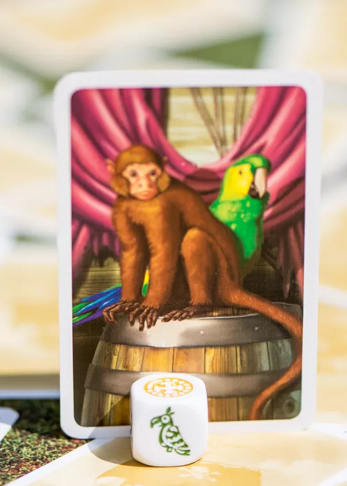 Avis sur le jeu MILLE SABORDS carte détail 4